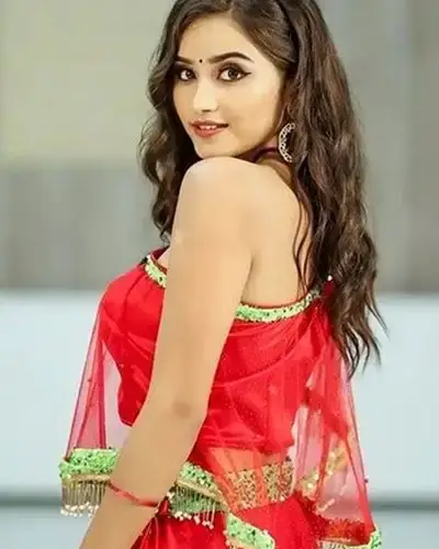 Call Girls Service Udayarpalayam